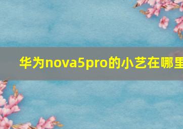 华为nova5pro的小艺在哪里