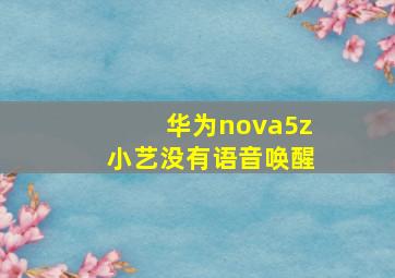 华为nova5z小艺没有语音唤醒