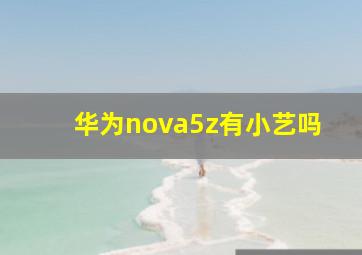 华为nova5z有小艺吗