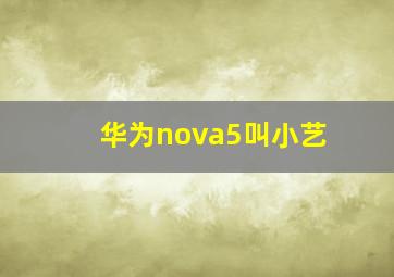 华为nova5叫小艺