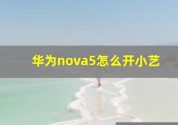 华为nova5怎么开小艺