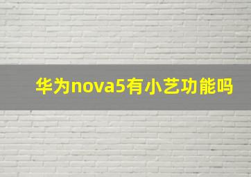 华为nova5有小艺功能吗