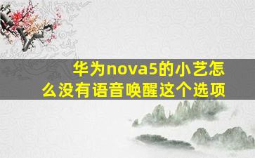 华为nova5的小艺怎么没有语音唤醒这个选项