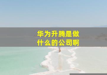 华为升腾是做什么的公司啊