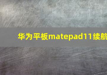 华为平板matepad11续航