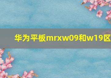 华为平板mrxw09和w19区别