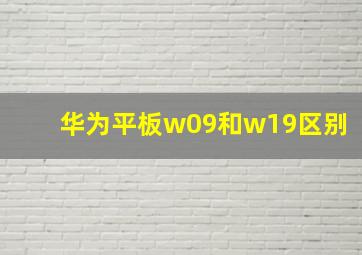 华为平板w09和w19区别