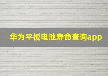 华为平板电池寿命查询app