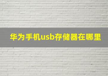 华为手机usb存储器在哪里