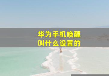 华为手机唤醒叫什么设置的