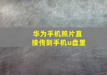 华为手机照片直接传到手机u盘里