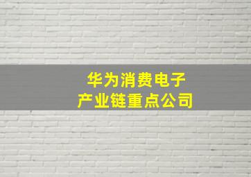 华为消费电子产业链重点公司