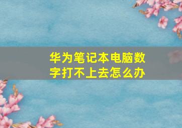 华为笔记本电脑数字打不上去怎么办