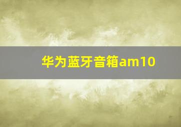 华为蓝牙音箱am10