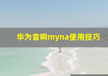 华为音响myna使用技巧