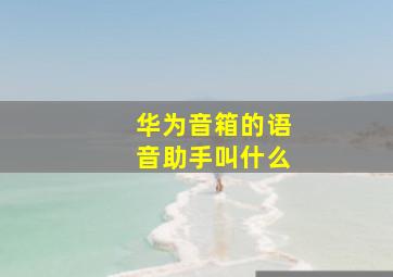 华为音箱的语音助手叫什么