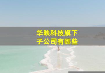 华映科技旗下子公司有哪些