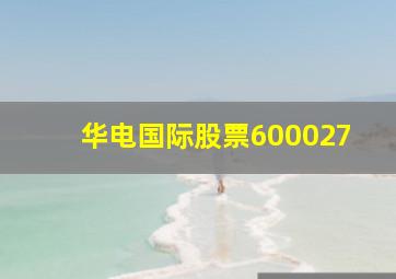 华电国际股票600027