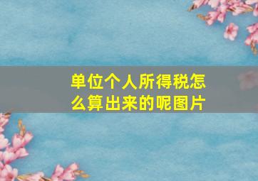 单位个人所得税怎么算出来的呢图片