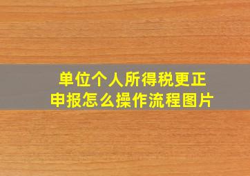 单位个人所得税更正申报怎么操作流程图片