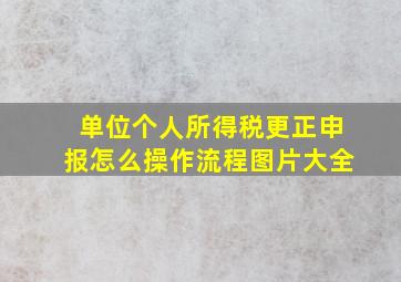 单位个人所得税更正申报怎么操作流程图片大全