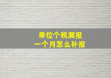 单位个税漏报一个月怎么补报