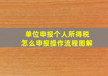 单位申报个人所得税怎么申报操作流程图解