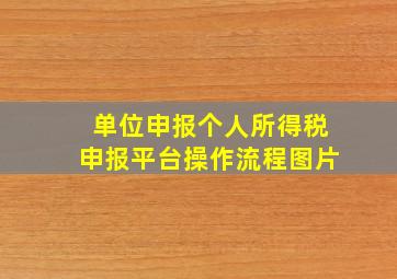 单位申报个人所得税申报平台操作流程图片