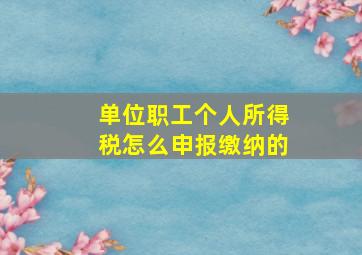 单位职工个人所得税怎么申报缴纳的