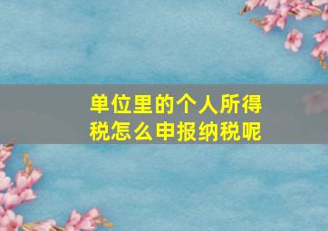 单位里的个人所得税怎么申报纳税呢