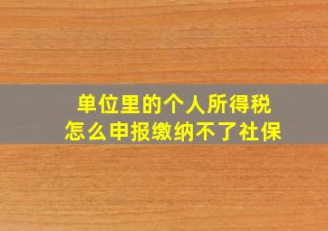 单位里的个人所得税怎么申报缴纳不了社保