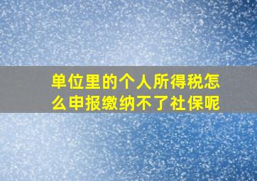 单位里的个人所得税怎么申报缴纳不了社保呢