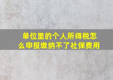 单位里的个人所得税怎么申报缴纳不了社保费用