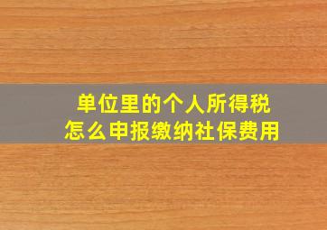 单位里的个人所得税怎么申报缴纳社保费用