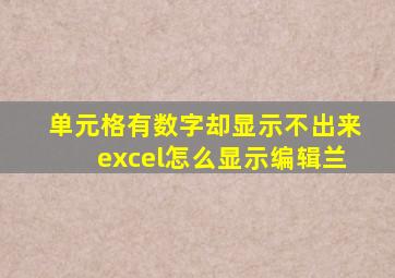 单元格有数字却显示不出来excel怎么显示编辑兰