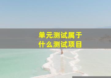 单元测试属于什么测试项目