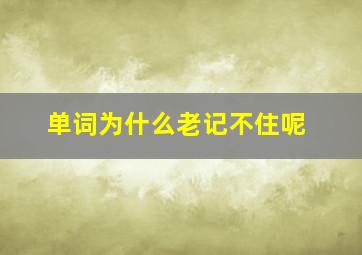 单词为什么老记不住呢