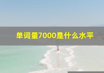 单词量7000是什么水平