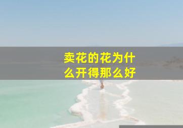 卖花的花为什么开得那么好