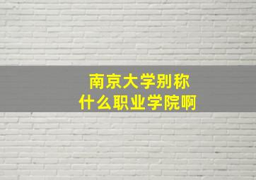 南京大学别称什么职业学院啊