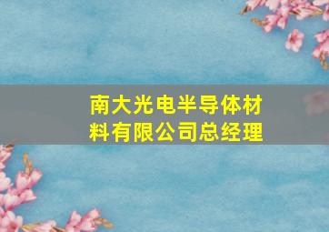 南大光电半导体材料有限公司总经理