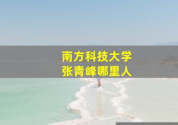 南方科技大学张青峰哪里人