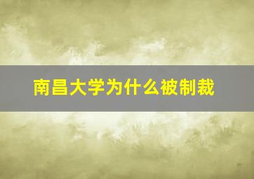 南昌大学为什么被制裁