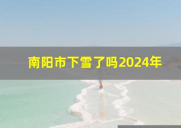 南阳市下雪了吗2024年