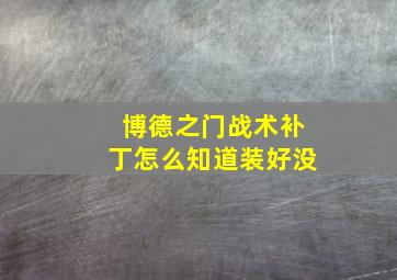 博德之门战术补丁怎么知道装好没