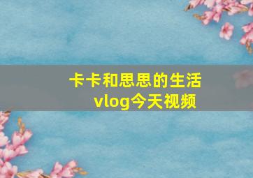 卡卡和思思的生活vlog今天视频