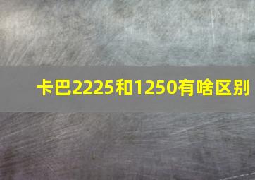 卡巴2225和1250有啥区别