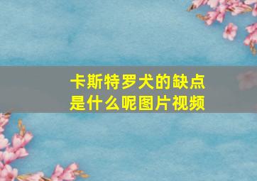 卡斯特罗犬的缺点是什么呢图片视频