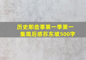 历史那些事第一季第一集观后感苏东坡500字