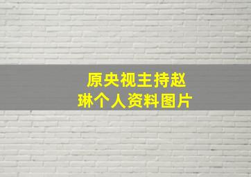 原央视主持赵琳个人资料图片